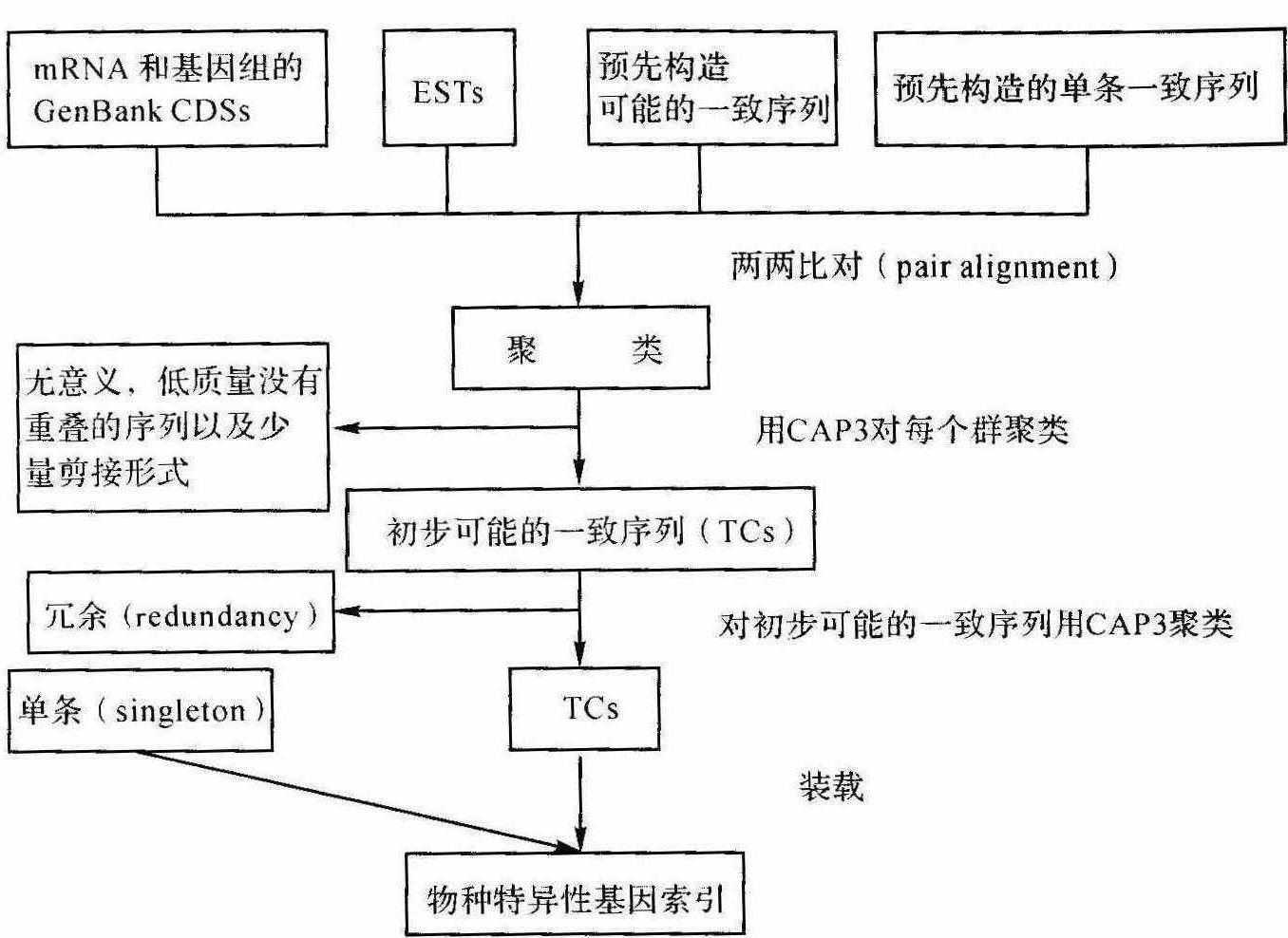 1.2.3 電子PCR克隆